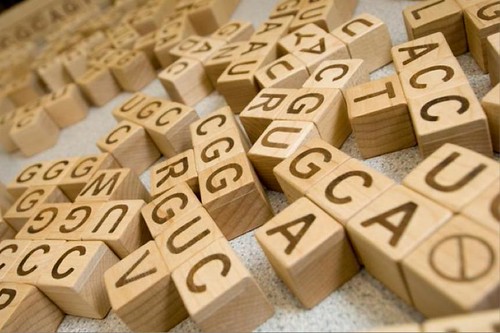 Cubos de letras personalizados